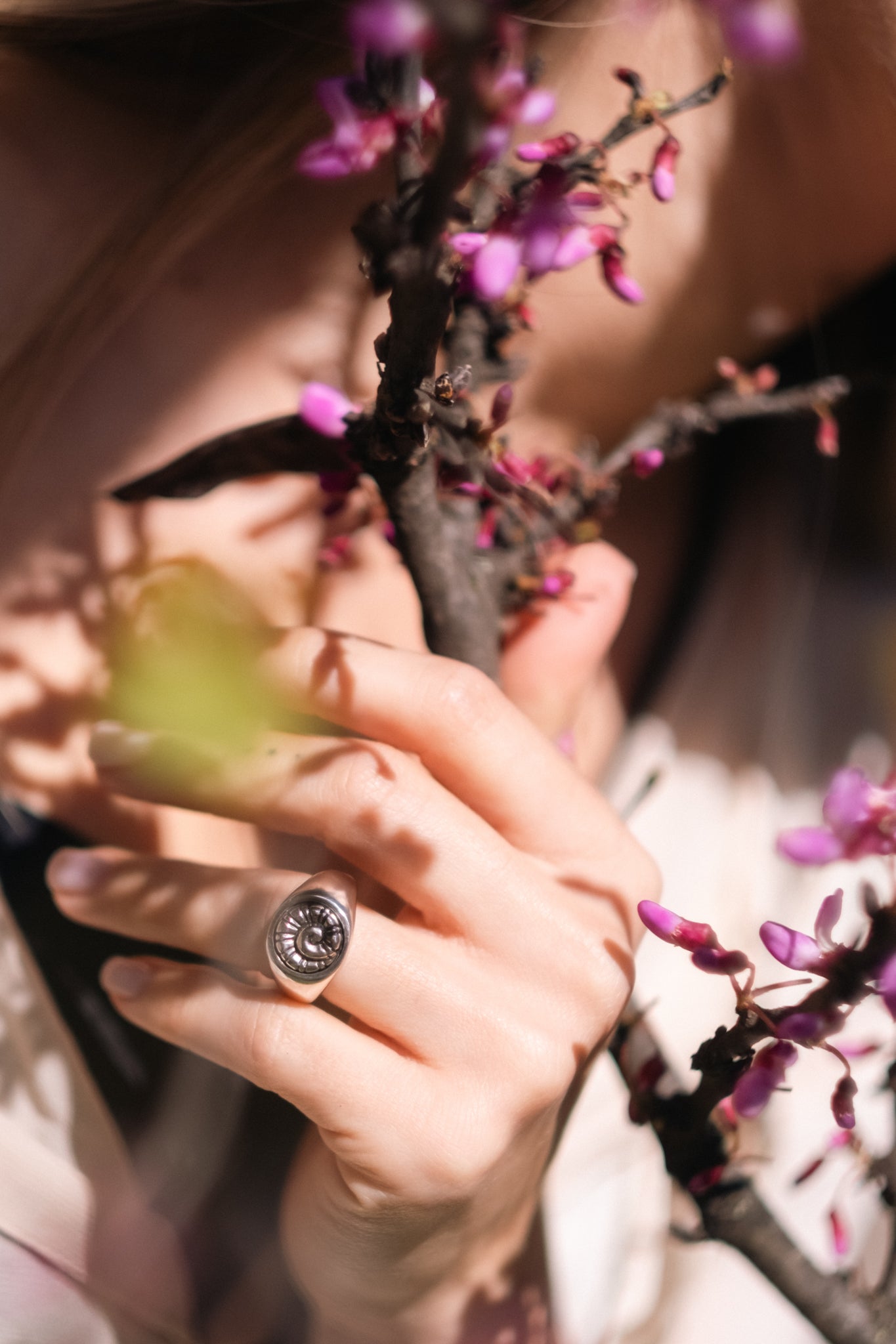Banyoles Ring