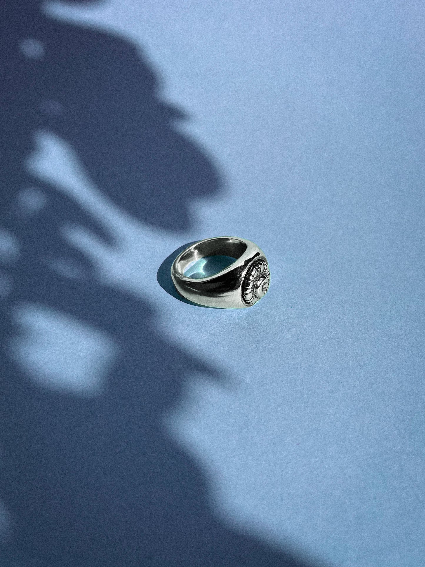 Banyoles Ring
