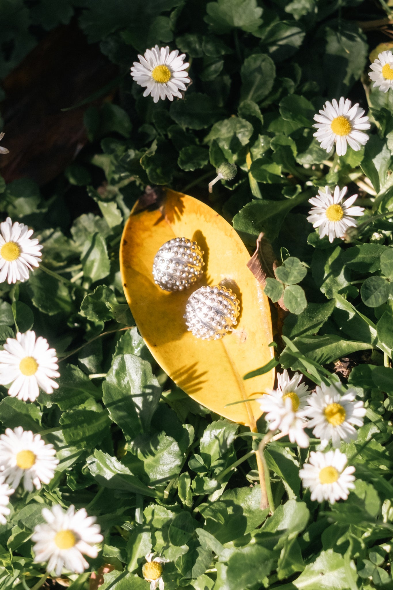 Sea Urchin Earrings